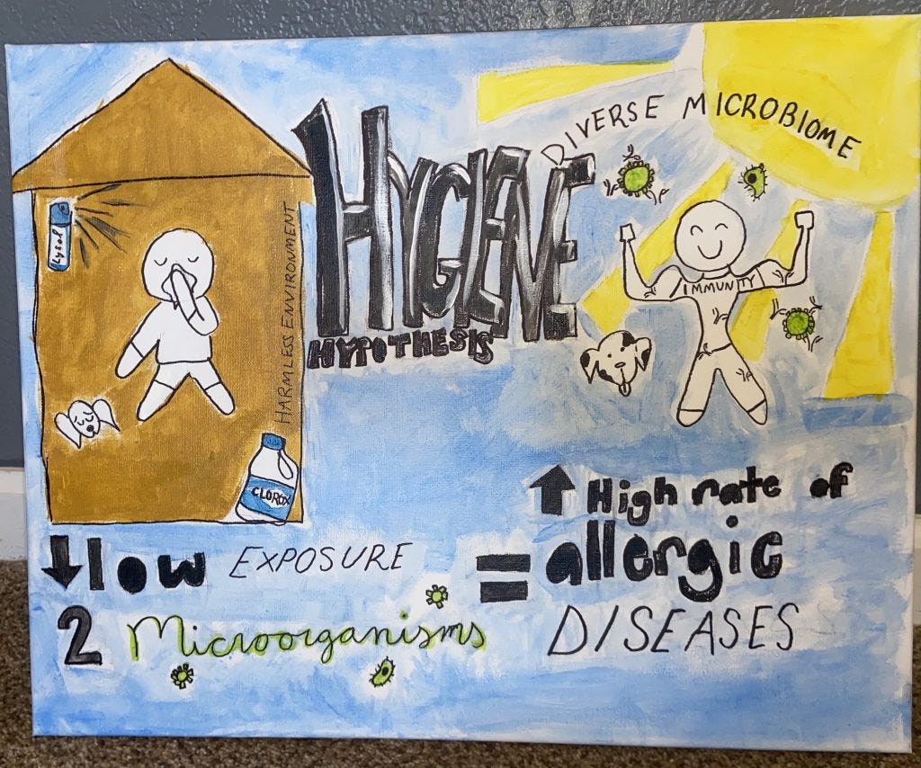 Hygiene Hypothesis - Human STEAM