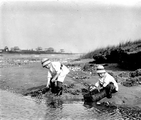 Images of the two boys, Brooks and Brud, in three island scenes