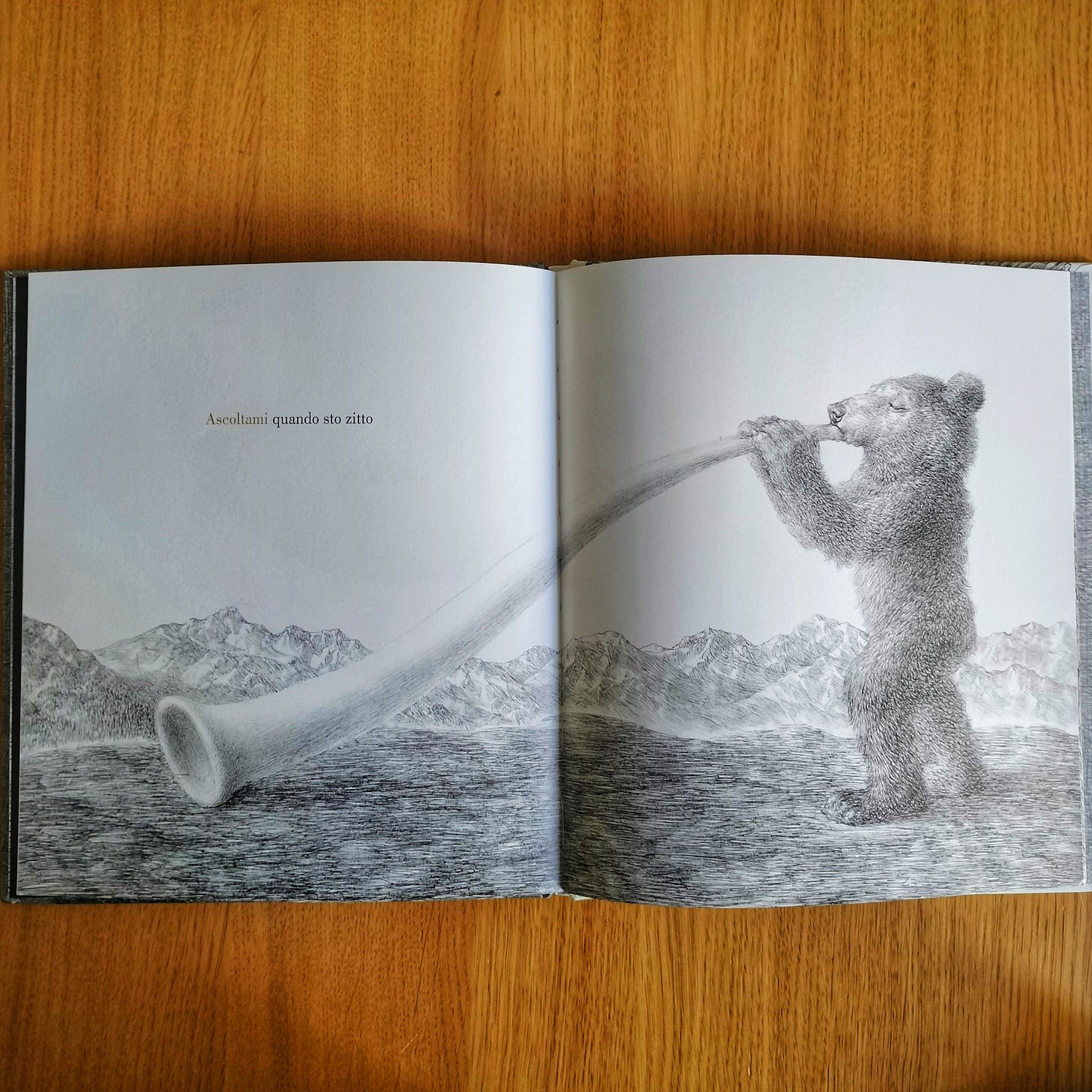 Zornista Hristova, Kiril Zlaktov, Ascoltami quando sto zitto, Orecchio Acerbo 2024; Nadine Robert, Valerio Vidali, Ascoltami Elefante, Terre di mezzo 2020.