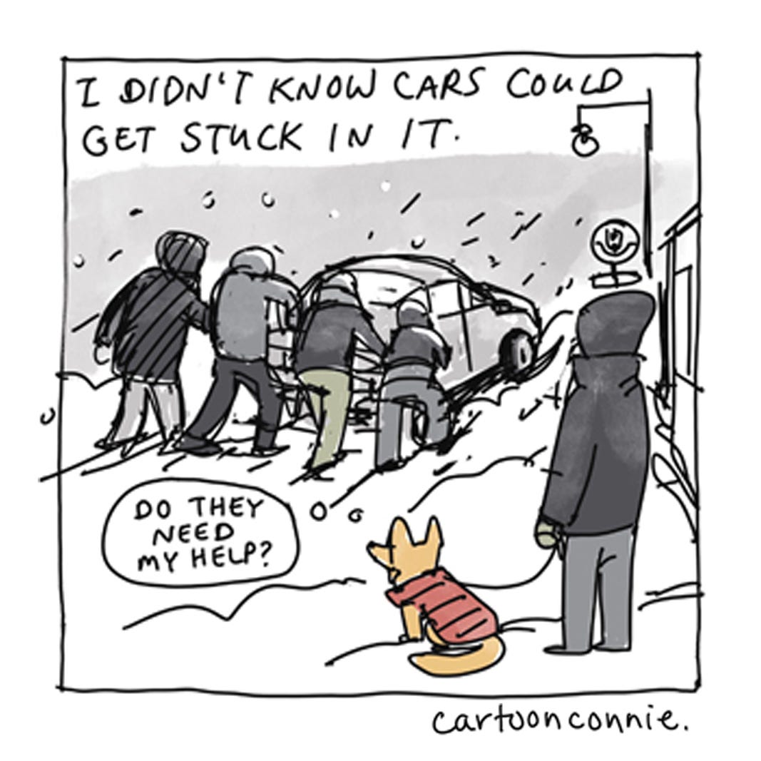 Panel 5 of a 6-panel diary comic about seeing New Yorkers help each other in a snowstorm. Titled "Diary of a Snow Day," original art by Connie Sun, cartoonconnie, 2026.