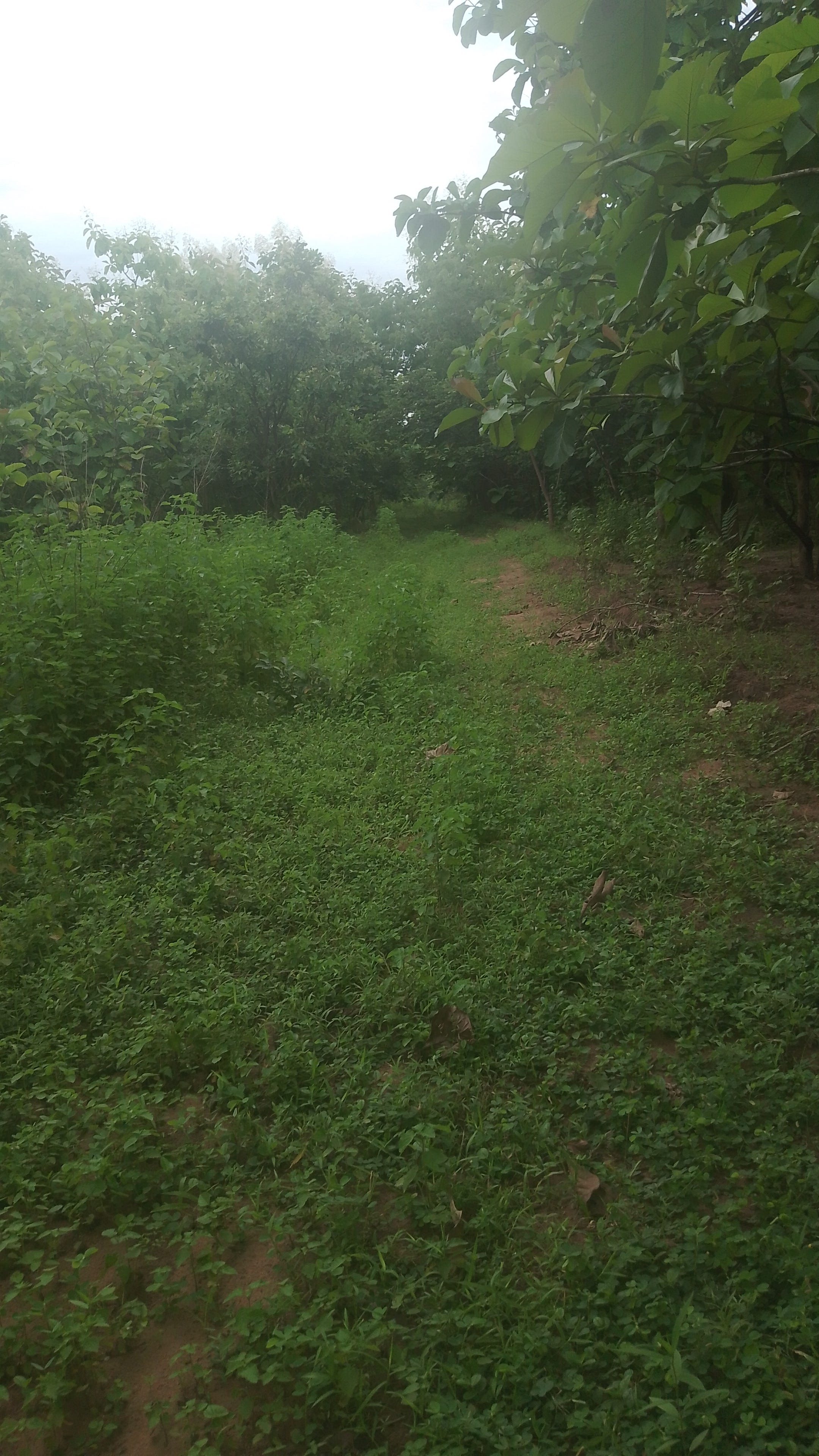 Abdullah Ololade Salaudeen