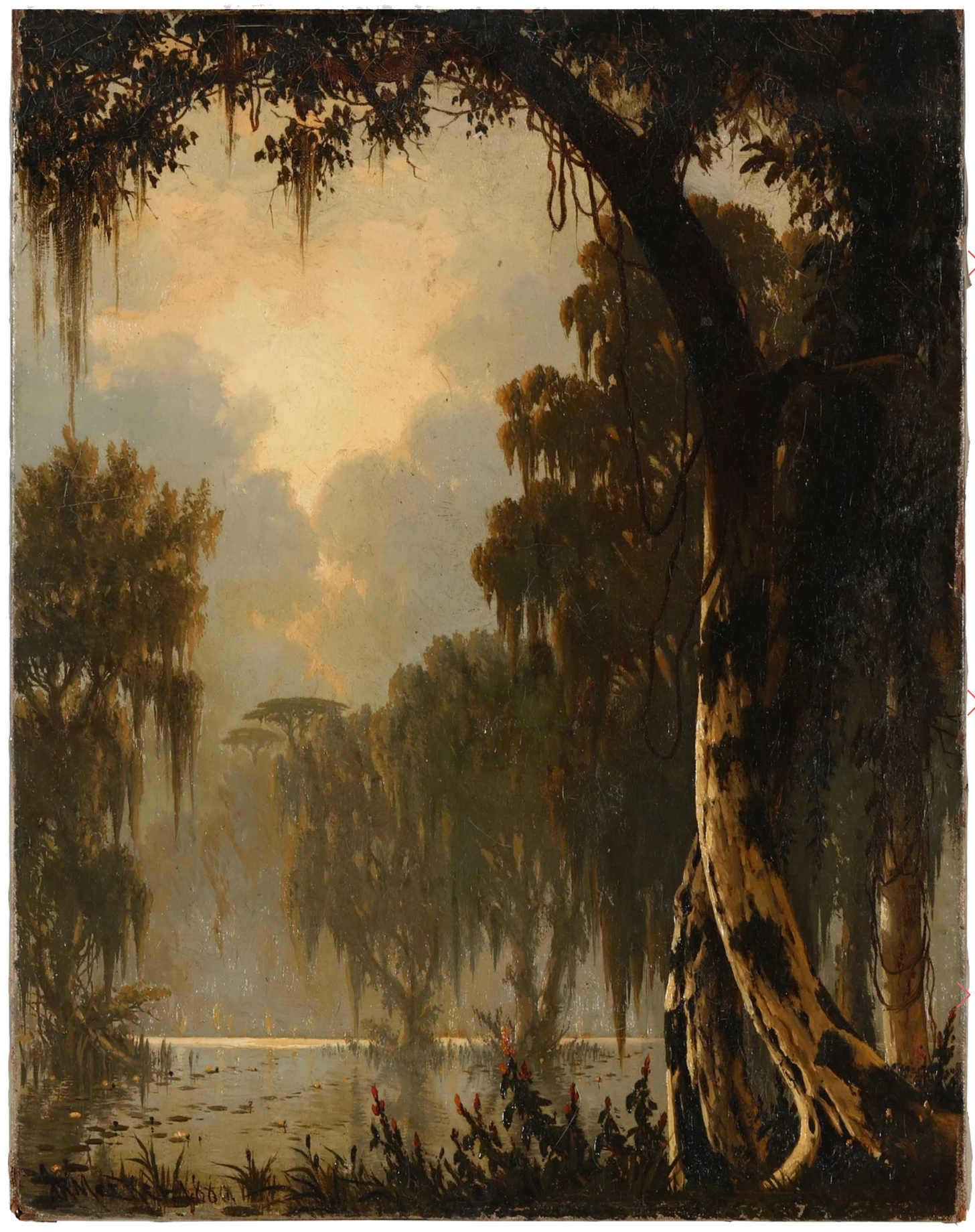 swamp with murky water, overhanging trees, Spanish moss