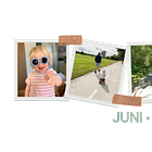 Dit was ... juni