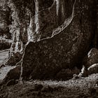 Why are we still calling it 'colonial'?