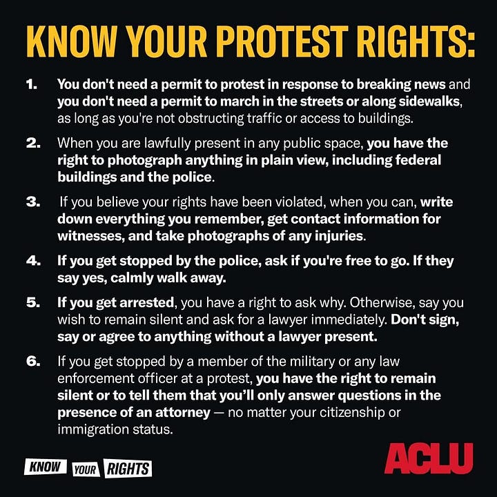 Images from Takedown Tesla: map of actions, marketing image for the protest, a man wearing an american flag themed outfit and a cyber truck made out of cardboards, with fake flames, know your protest rights from the ACLU, and a protest sign reading 'Sell your teslas dump your stock"