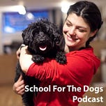Don't Be a Dick to Your Dog