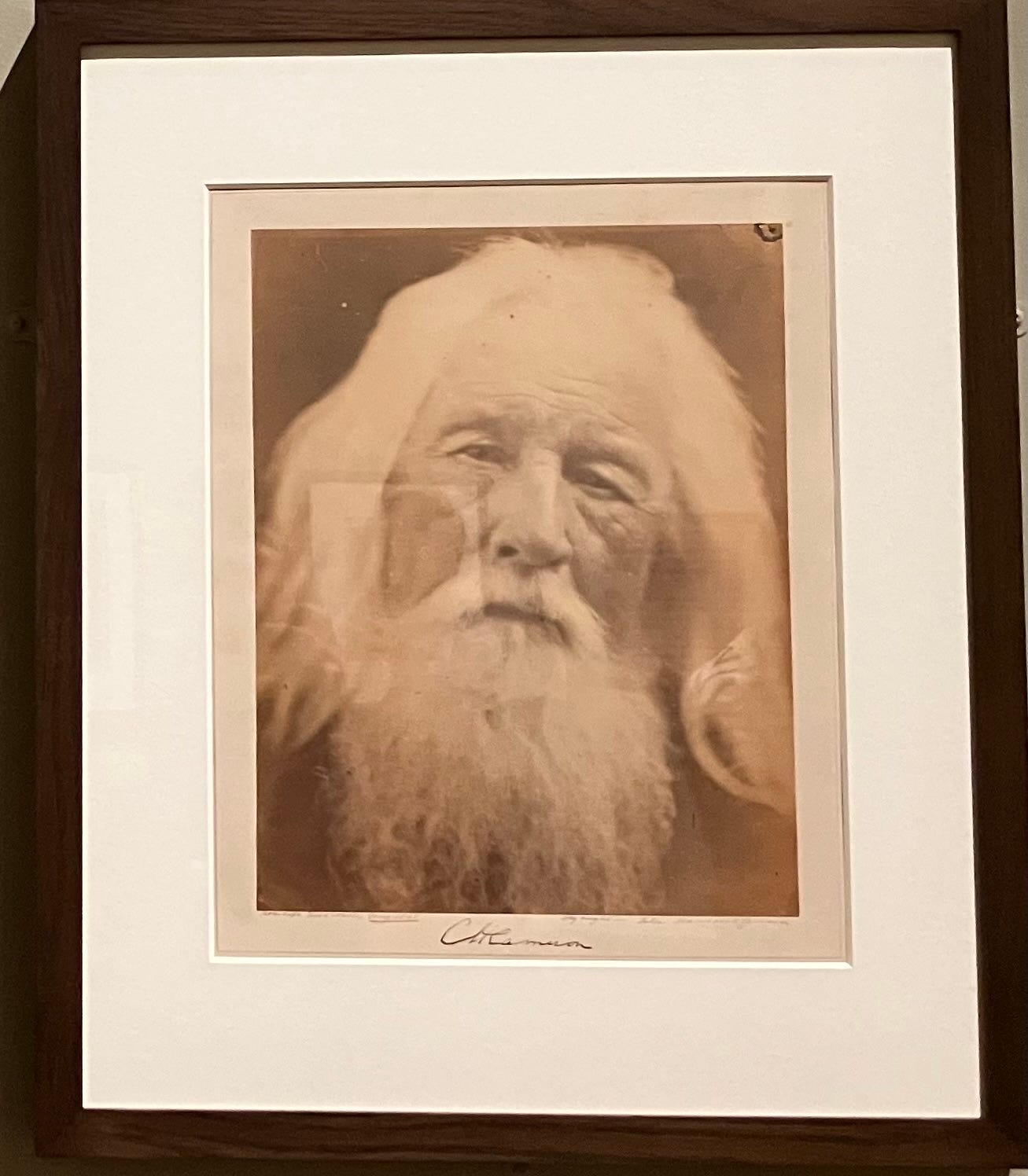 close up photograph of a white-haired and bearded man, slightly out of focus and gazing straight at the camera