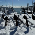🌲Winter 2024 - Early 2025: Off-Season Activities Guide for Martha's Vineyard 