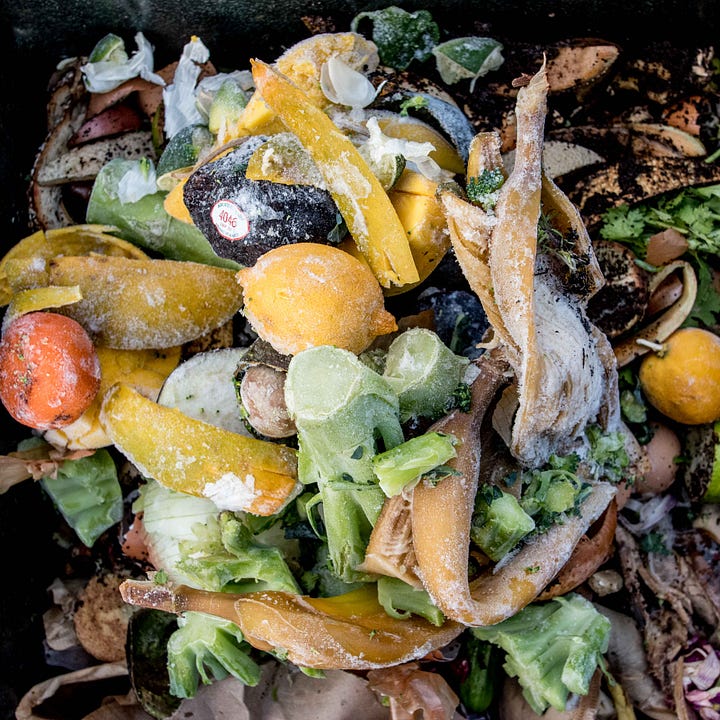 Diptych: Compost with frozen fruits and vegetables