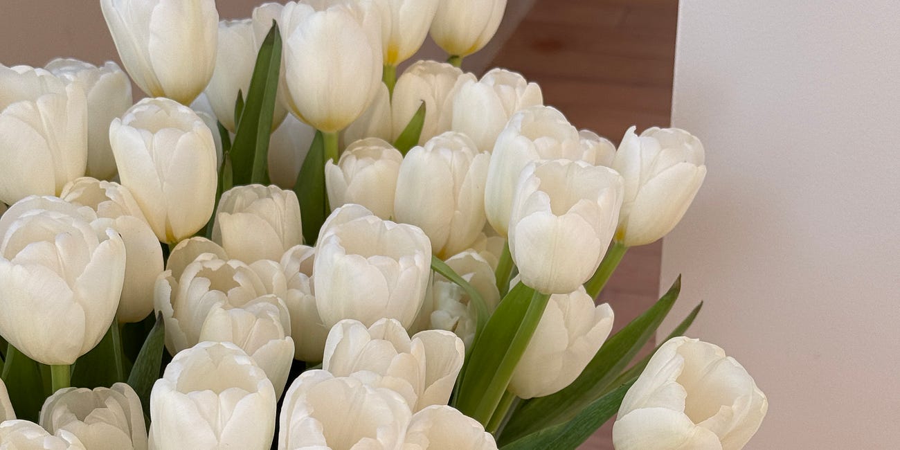 An introduction to "When Resurrection Weeps" 