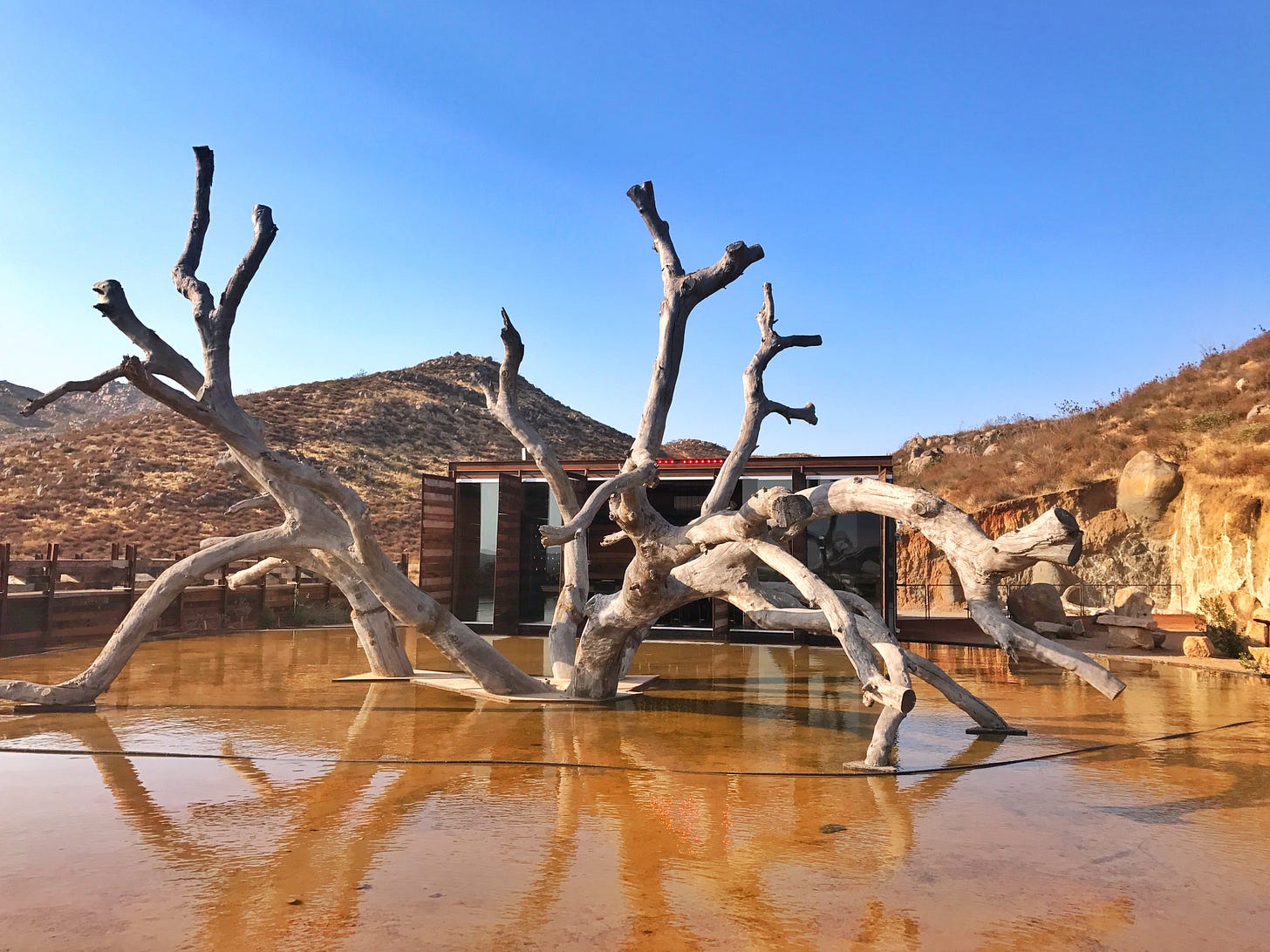 Bruma winery in Valle de Guadalupe, featuring a large driftwood sculpture reflecting in a shallow water pool with the modern low-slung glass winery building and arid hillside in the background. Bruma winery in Valle de Guadalupe, featuring a large driftwood sculpture reflecting in a shallow water pool with the modern low-slung glass winery building and arid hillside in the background.