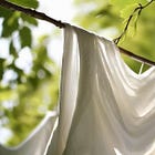 Summer #0175 summer cloths airing 