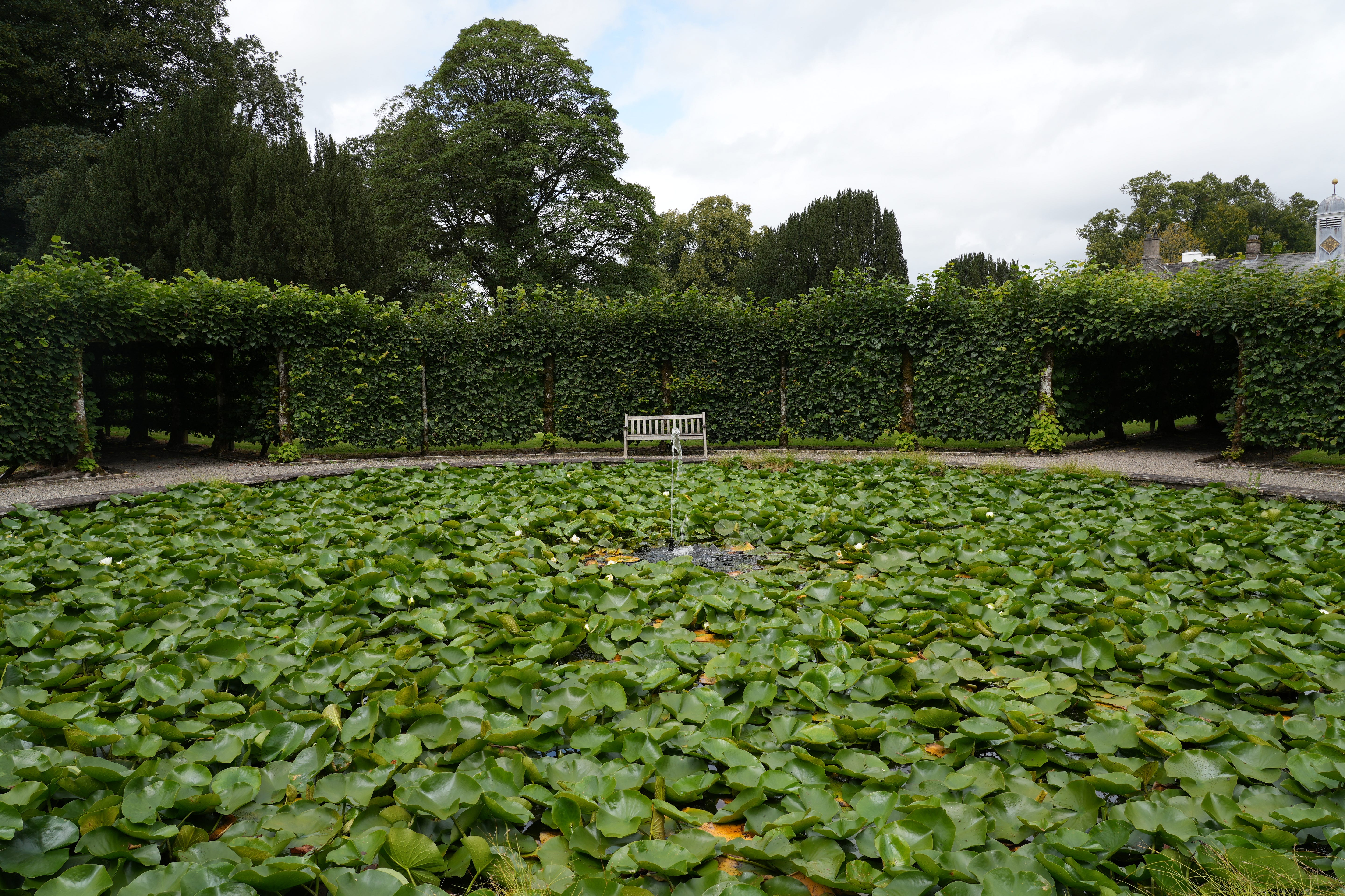 Levens Hall garden pond