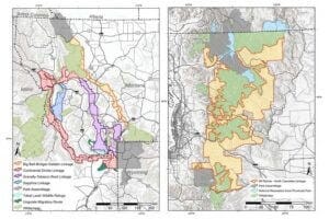 Location of identified multi-species ecological linkages, and wilderness areas and ungulate migratory routes that intersect linkages between Yellowstone and Glacier park assemblages in the northern Rocky Mountains; and between Mount Rainier and North Cascades park assemblages in the north Cascades mountain range.