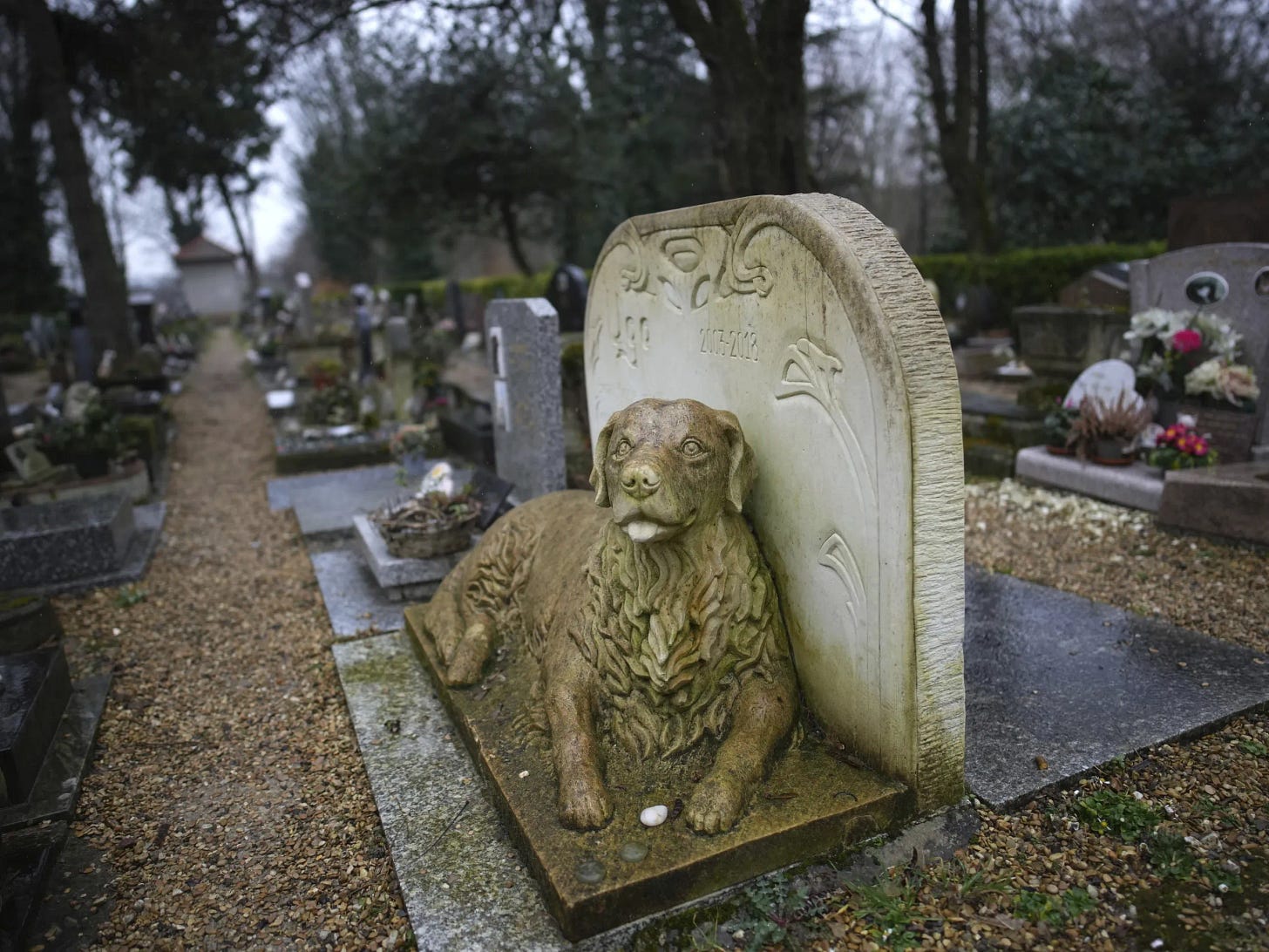 Grave of a dog at a pet cemetery in the suburbs of Paris. Grave of a dog at a pet cemetery in the suburbs of Paris.