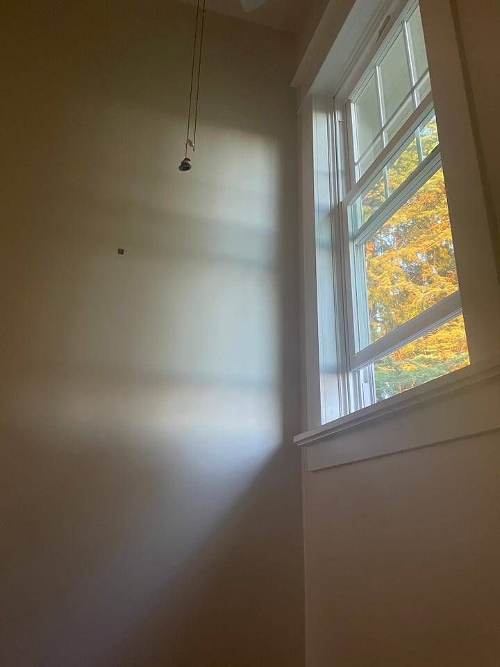 tree-framed sky, leaf rubbing, sky-light, smiling face