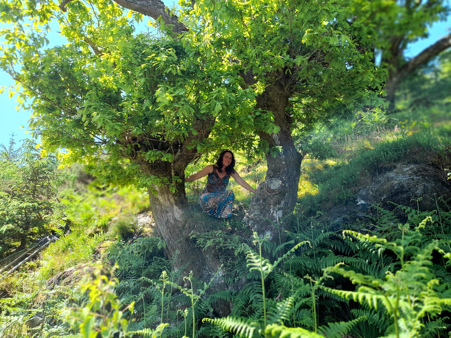 white woman wearing a colourful dress crouched down in a large tree