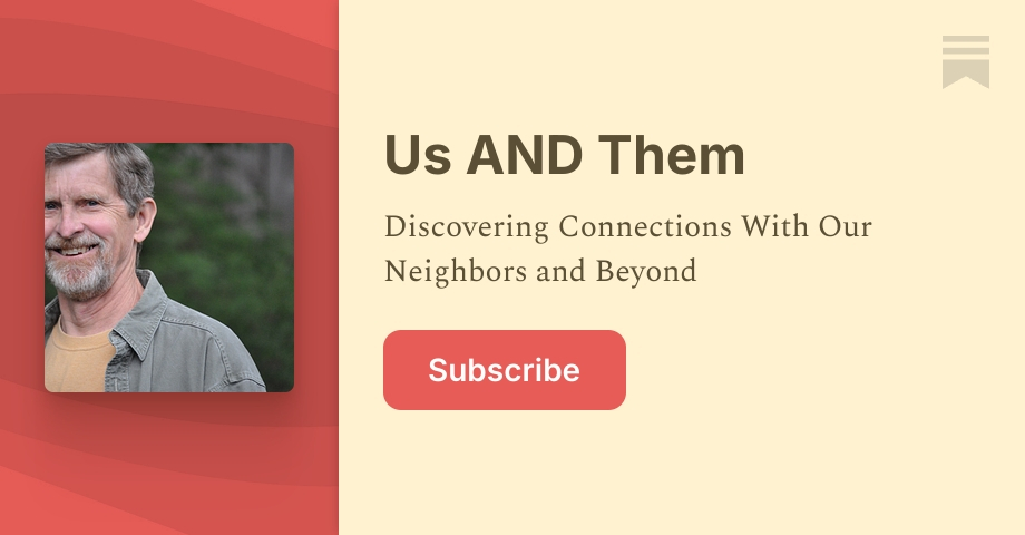 Us AND Them | Mark VanLaeys | Substack