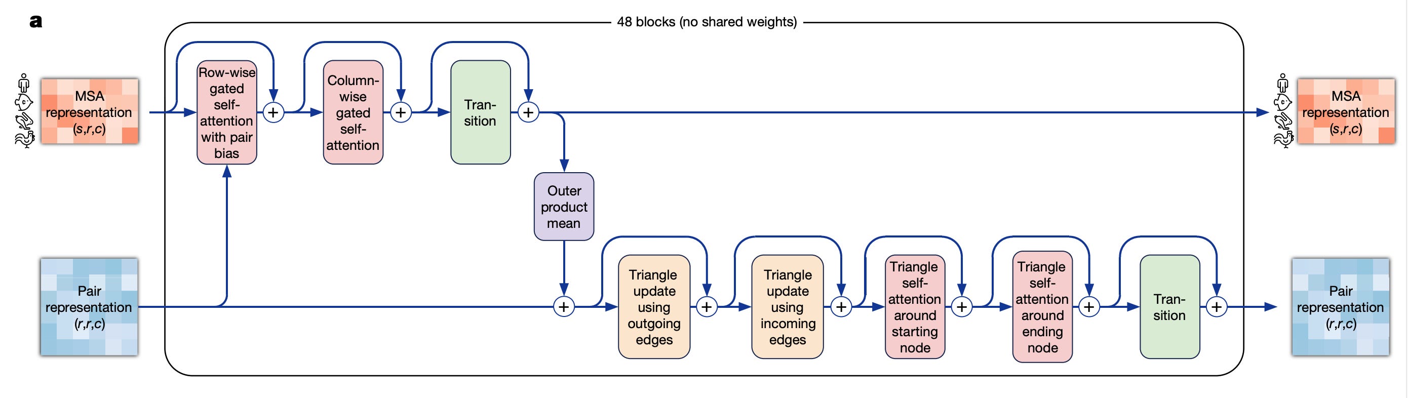 AlphaFold2 Deep Dive Part 4: The Evoformer - by Evan Racah