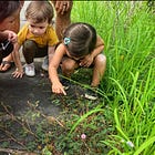The Great Outdoors | CURRICULUM