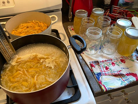 boiling lemons to make marmalade. Jars and jars of marmalade and lemon curd.