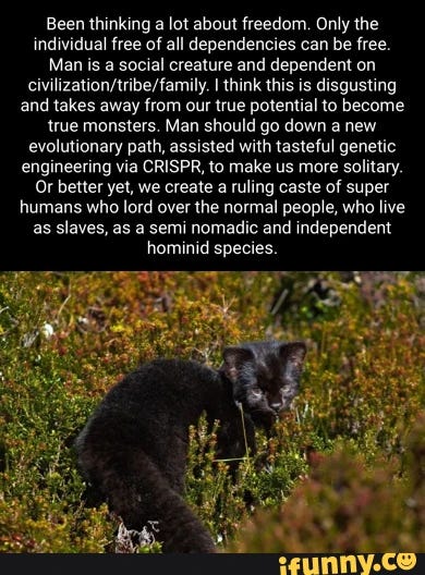 Been thinking a lot about freedom. Only the individual free of all dependencies can be free. Man is a social creature and dependent on I think this is disgusting and takes away from our true potential to become true monsters. Man should go down a new evolutionary path, assisted with tasteful genetic engineering via CRISPR, to make us more solitary. Or better yet, we create a ruling caste of super humans who lord over the normal people, who live as slaves, as a semi nomadic and independent hominid species.