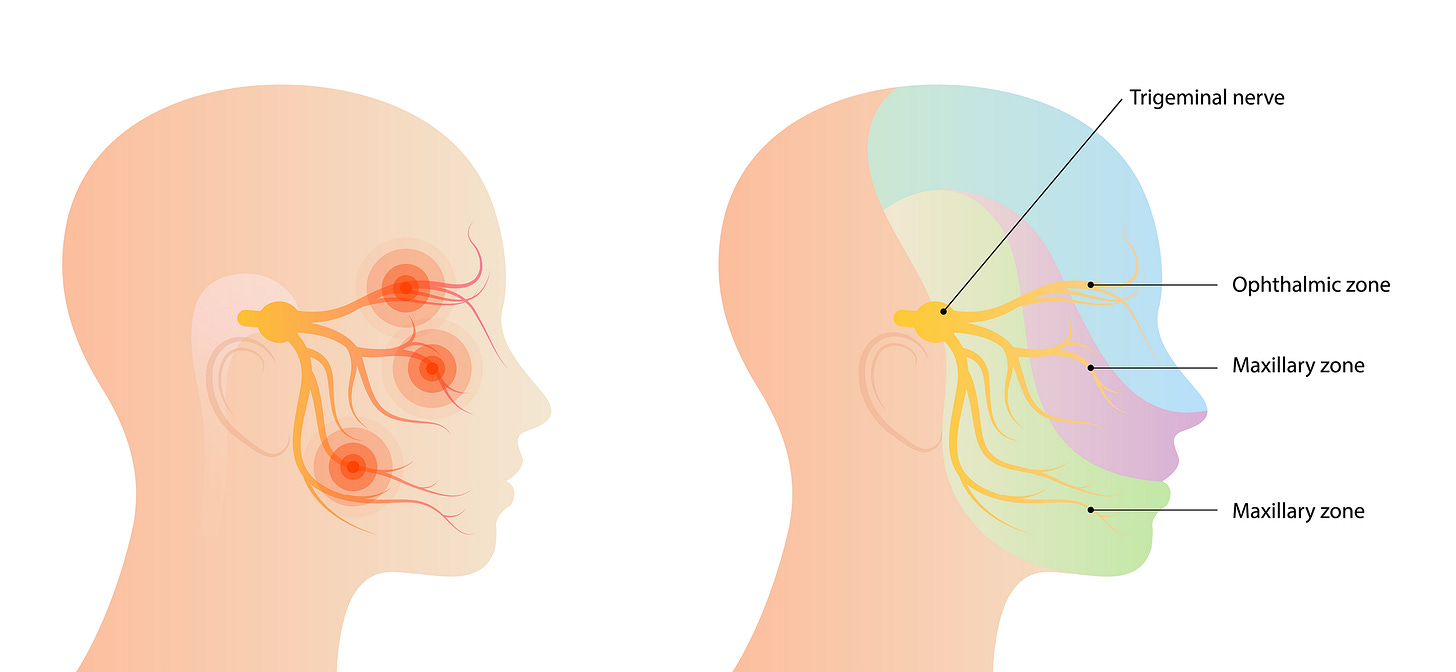 Neuralgia del trigémino: causas, síntomas, diagnóstico y opciones de tratamiento Neuralgia del trigémino: causas, síntomas, diagnóstico y opciones de tratamiento