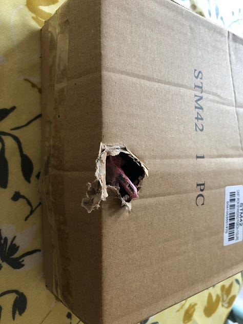 Photos showing a cast iron figure pigeon coming out of a cardboard box