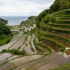 This Is What Japan Looks Like in Late May