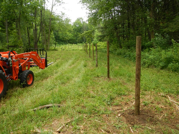 Wood fence posts installation - Sheep Pasture