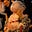 Sue Henderson's avatar
