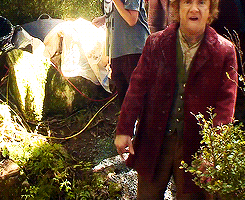 Middle Fingers GIF