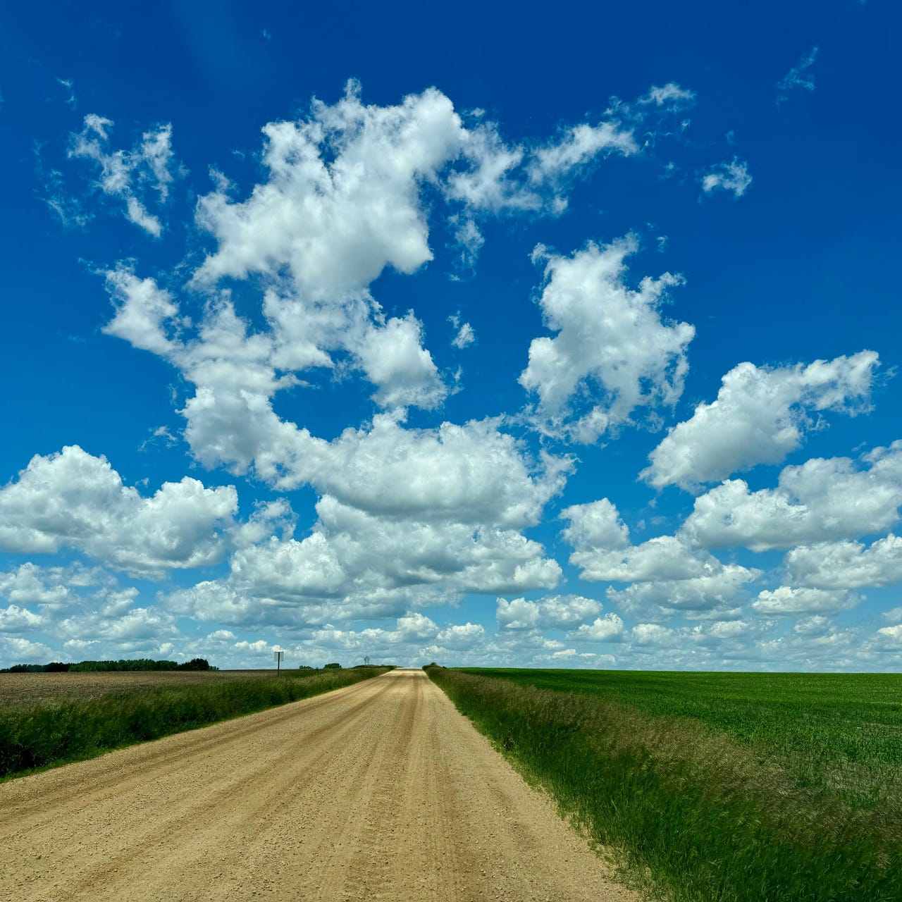 Artwork for and I don't mean perhaps