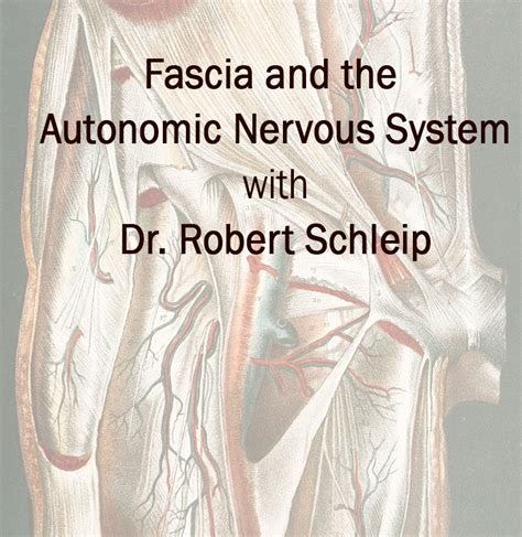 Fascia and the Autonomic Nervous System by Robert Schleip - Terra Rosa Online