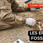 Les erreurs fossilisées