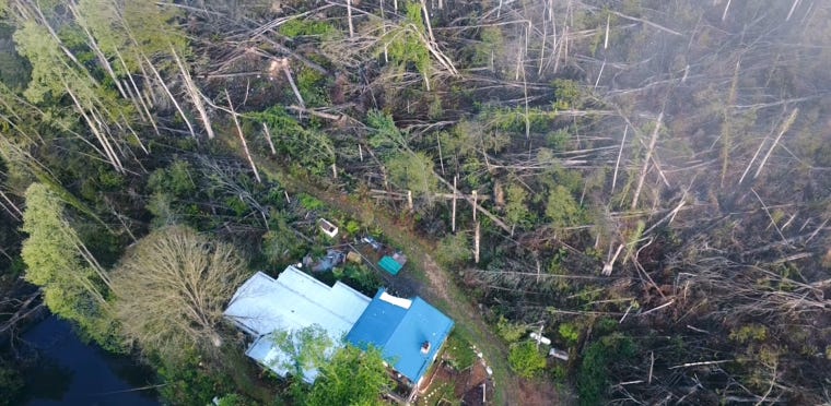 timber blowdown surrounding home