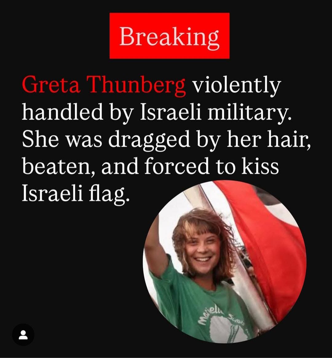 Puede ser una imagen de 1 persona y texto que dice "Breaking Greta Thunberg violently handled by Israeli military. She was dragged by her hair, beaten, and forced kiss Israeli flag. Meiela Sumub Sumbio"