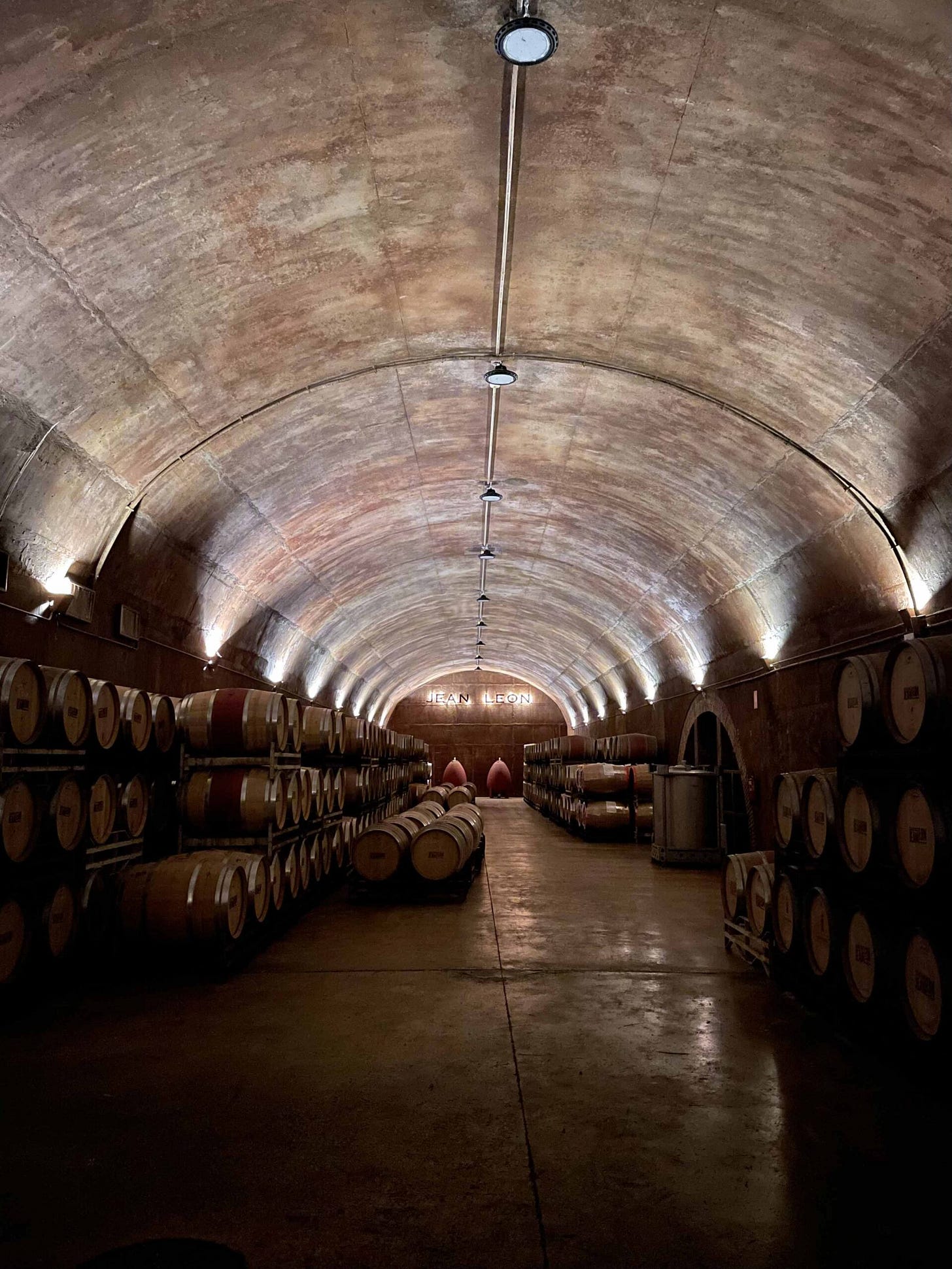 Los vinos de Ceferino