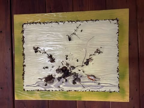 Decrepit nature collage on a wood panel.