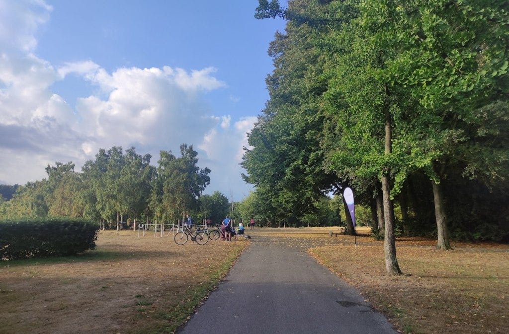The grass is mostly brown after drought, but large green trees fill the far side of the park. The parkrun flag is setup as is the finish funnel