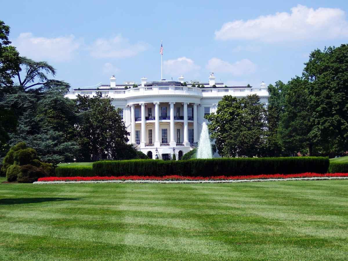Dr. Micheal Fine: A Path Forward for Democrats – A Primary for Vice President