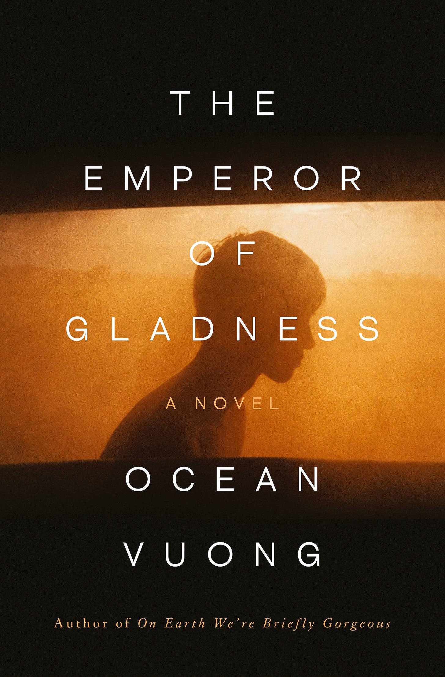 A silhouette of a man amid a hazy, sunny background front and center of the cover. The rest of the cover is in black. 