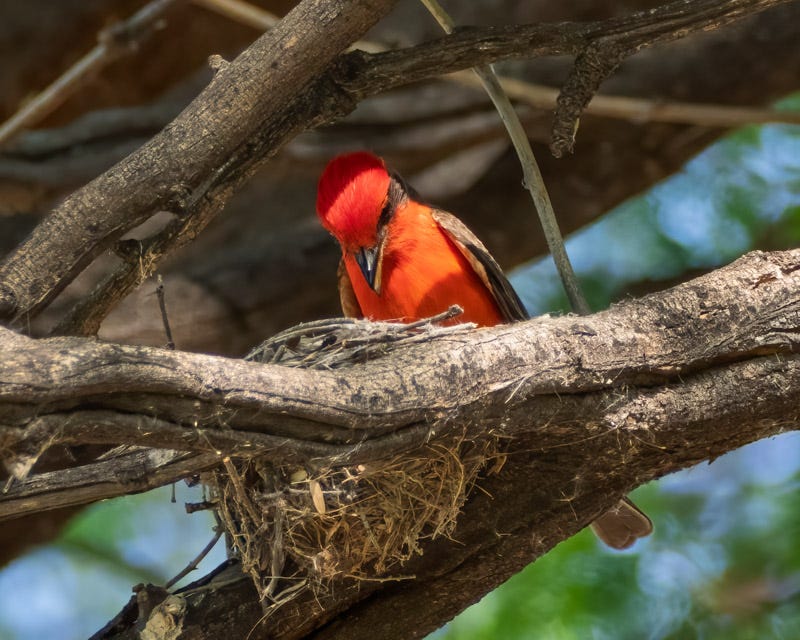 20260330-Sweetwater-148-Edit.jpg 20260330-Sweetwater-148-Edit.jpg