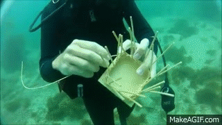 Underwater Basket Weaving on Make a GIF