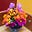 Boze's avatar