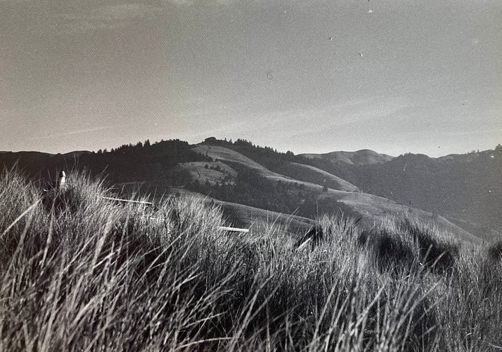 Images of Point Reyes and Golden Gate National Recreation Area by Sabrina Simpson