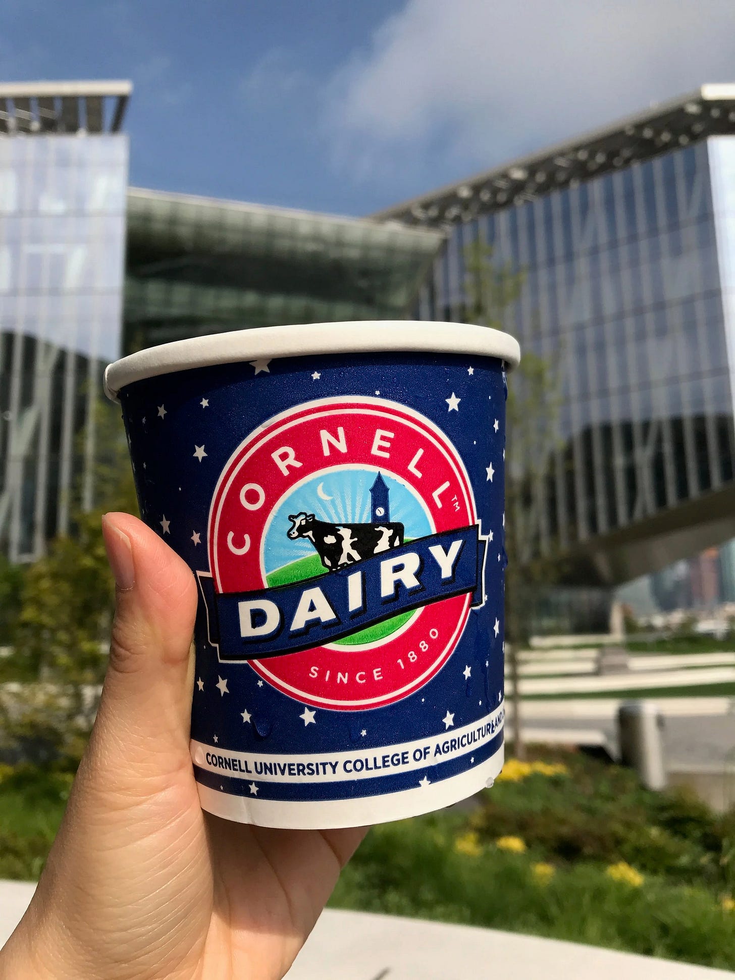  A Pint of Cornell Dairy Ice Cream 