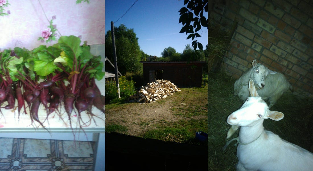 Living off the land in rural Russia