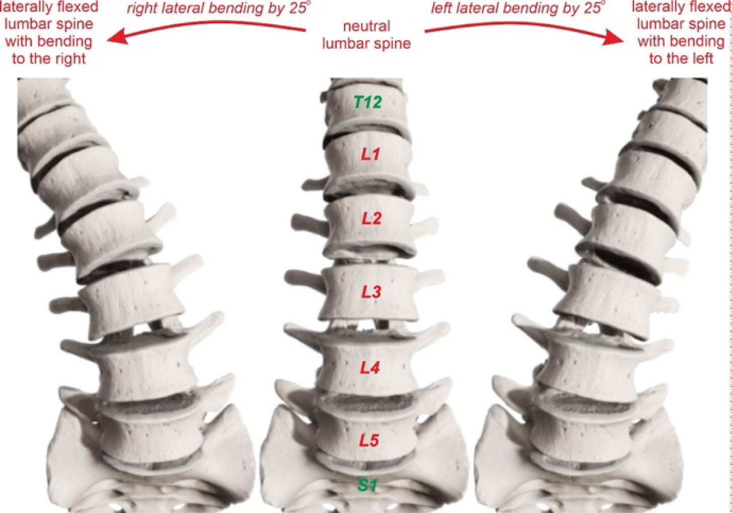 SPIMON" A Wearable System for Real Time Spine Observation SPIMON" A Wearable System for Real Time Spine Observation