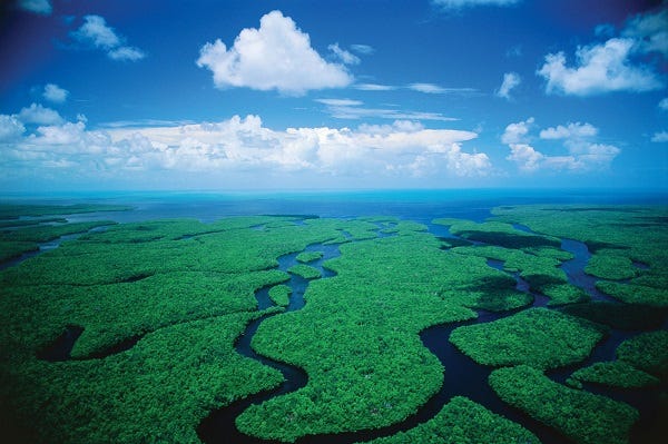 Everglades National Park Aerial